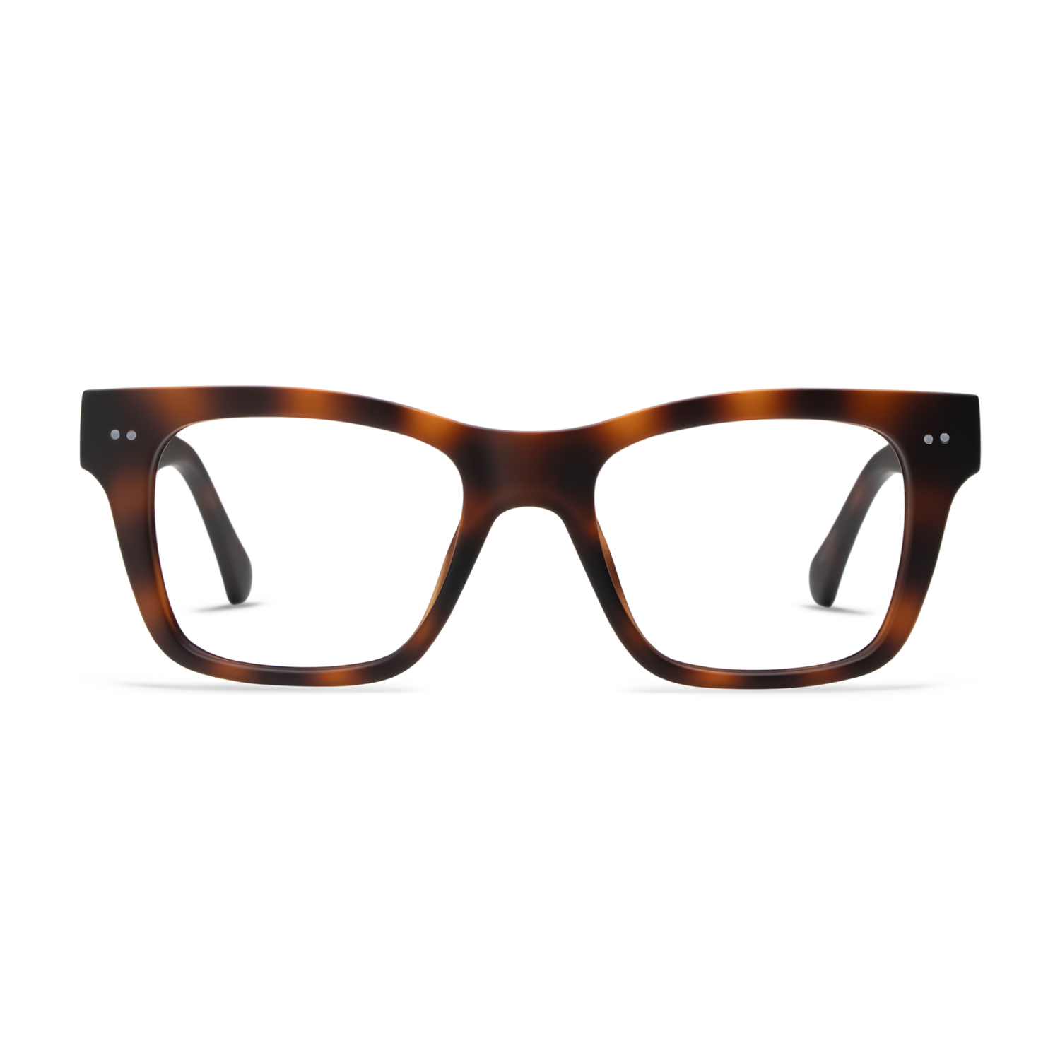 cosmo_cosmo-readers_tortoise_001_346498c8-5bff-4d45-92c7-a1eb11c9def0_1500x.png