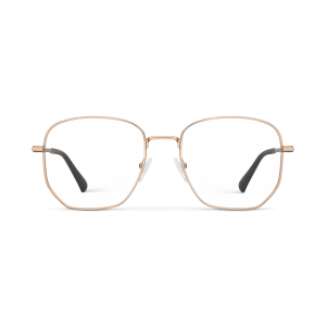 Gina Progressives